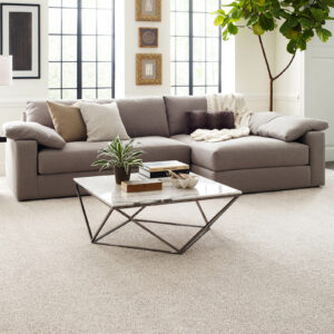 Modern living room | Bell County Flooring