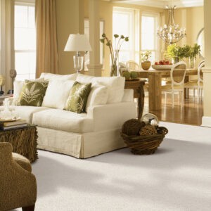 Carpet flooring | Bell County Flooring