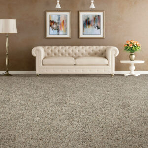 Soft carpet | Bell County Flooring