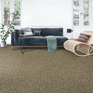 Soft carpet floor | Bell County Flooring