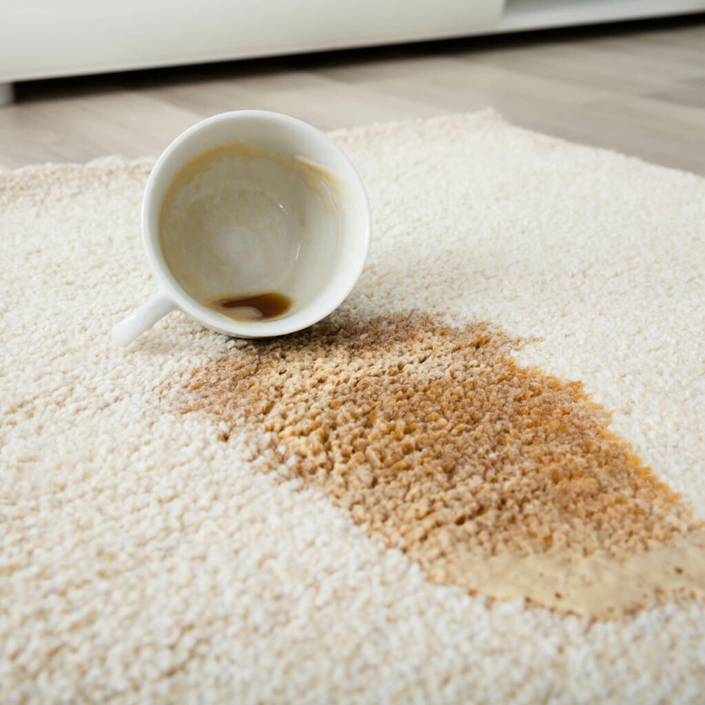 Coffee spill on carpet | Bell County Flooring