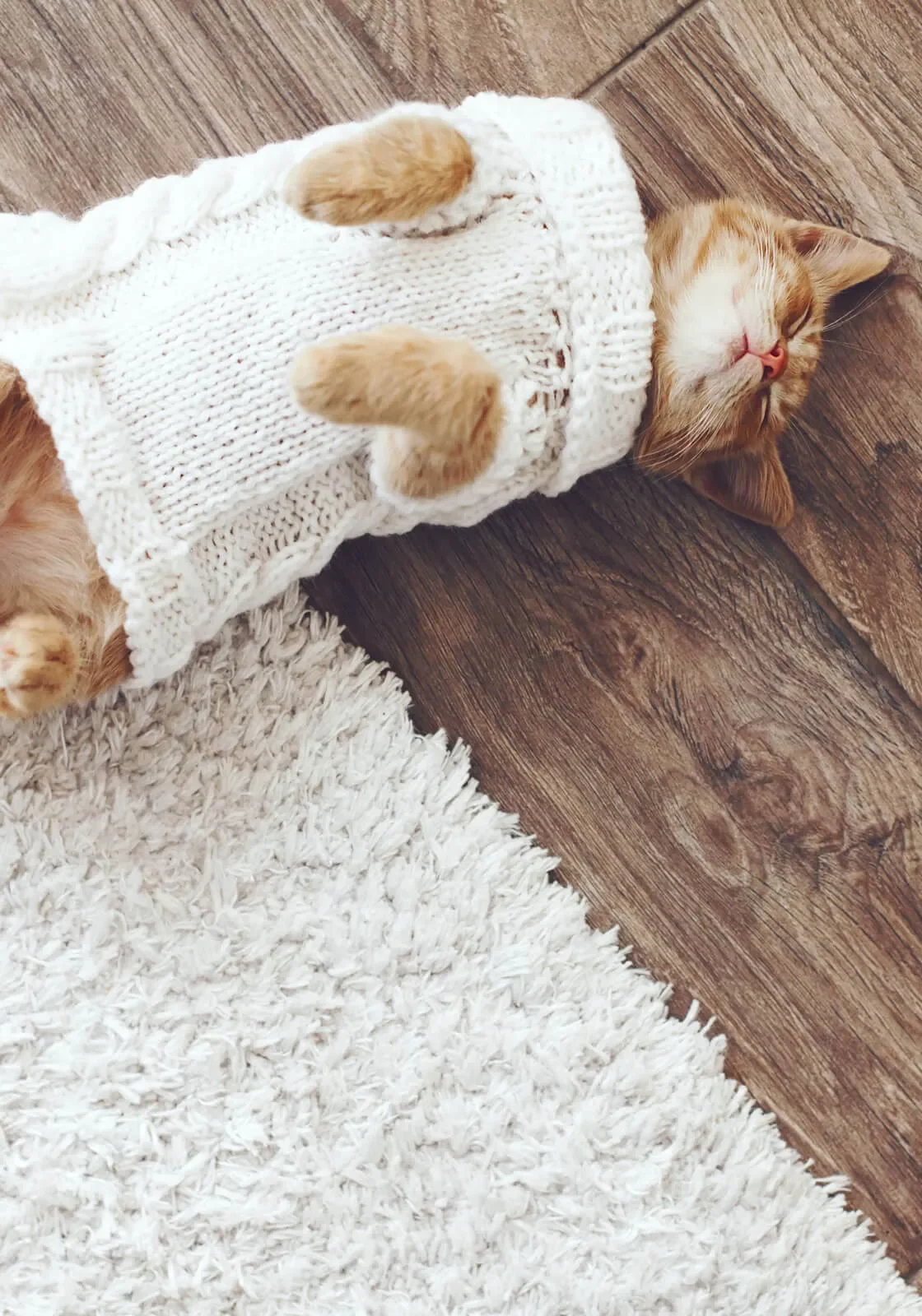 hardwood_1600x1600 (1) Hardwood floor | Bell County Flooring